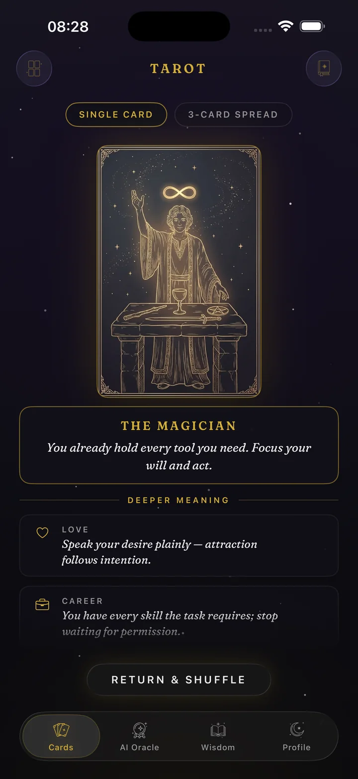 Enigma — The Magician with its meaning